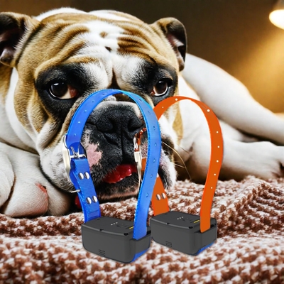 Real Time Tracking Hunting Hound GPS Finder With Remote Control Plastic Material GPRS and Beidou Navigation 4G GPS Tracker